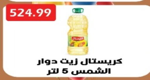 available at يورومارشيه in Egypt - القاهرة