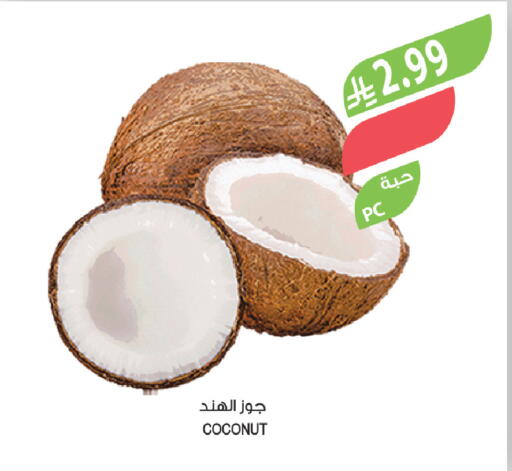 Coconut available at المزرعة in مملكة العربية السعودية, السعودية, سعودية - سيهات