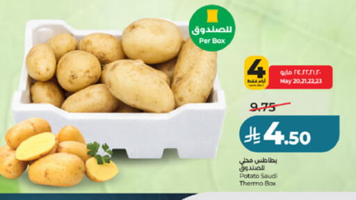 Potato from Saudi Arabia available at لولو هايبرماركت in مملكة العربية السعودية, السعودية, سعودية - مكة المكرمة