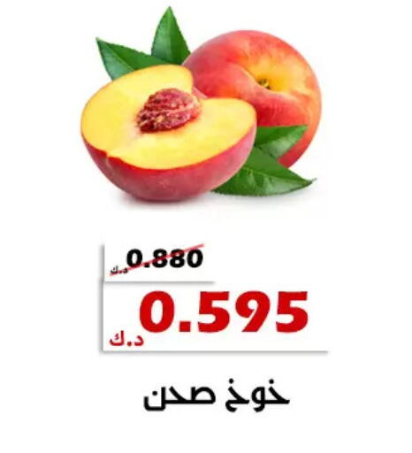 available at جمعية الخالدية التعاونية in الكويت - مدينة الكويت