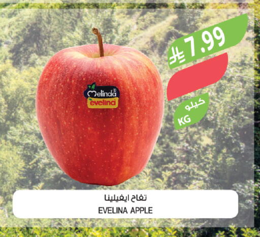 Apple available at المزرعة in مملكة العربية السعودية, السعودية, سعودية - سيهات