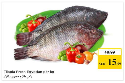 available at نستو هايبرماركت in الإمارات العربية المتحدة , الامارات - دبي