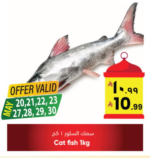 available at ستي فلاور in مملكة العربية السعودية, السعودية, سعودية - نجران