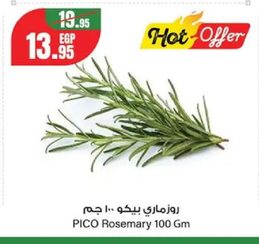 Rosemary from Egypt available at Géant Egypt in Egypt - Cairo