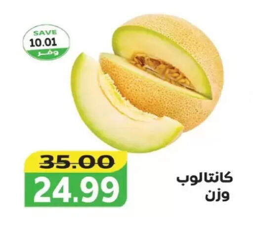 available at ذا مارت in Egypt - القاهرة