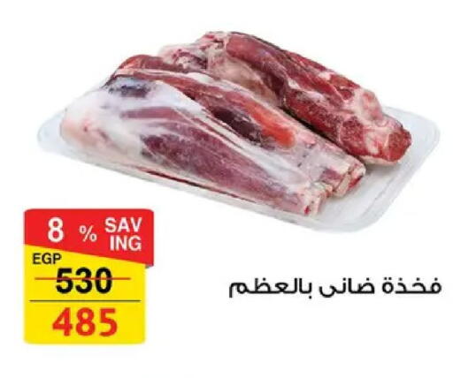 available at فتح الله in Egypt - القاهرة