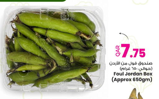 from Jordan available at Ansar Gallery in Qatar - Al Shamal