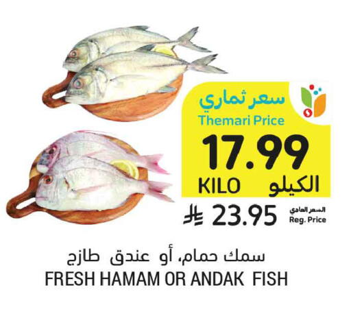 available at أسواق التميمي in مملكة العربية السعودية, السعودية, سعودية - المدينة المنورة