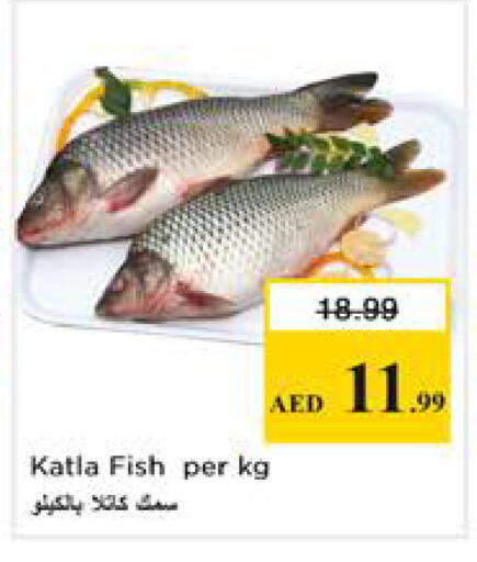 available at نستو هايبرماركت in الإمارات العربية المتحدة , الامارات - الشارقة / عجمان