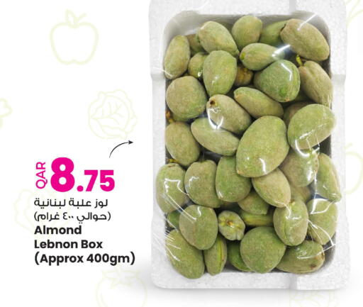 available at Ansar Gallery in Qatar - Al Shamal