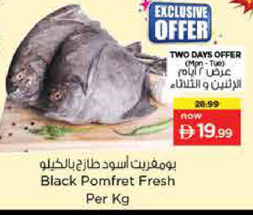 available at نستو هايبرماركت in الإمارات العربية المتحدة , الامارات - الشارقة / عجمان