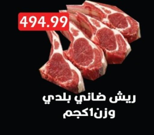 available at يورومارشيه in Egypt - القاهرة