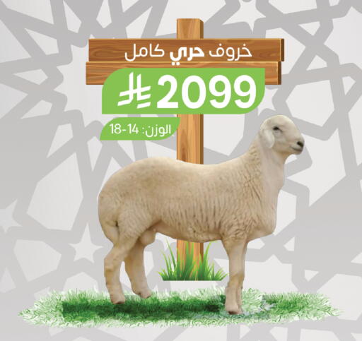 available at المزرعة in مملكة العربية السعودية, السعودية, سعودية - سيهات