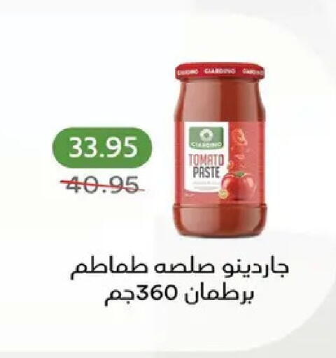 Tomato available at بيك مارت in Egypt - القاهرة