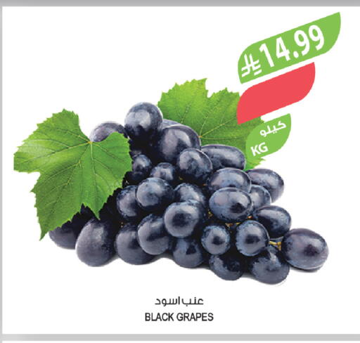 Grapes available at المزرعة in مملكة العربية السعودية, السعودية, سعودية - سيهات