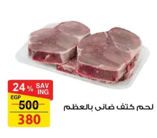 available at فتح الله in Egypt - القاهرة