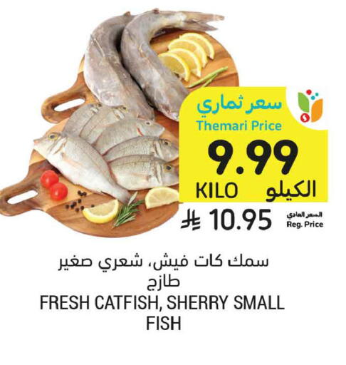 available at أسواق التميمي in مملكة العربية السعودية, السعودية, سعودية - المدينة المنورة