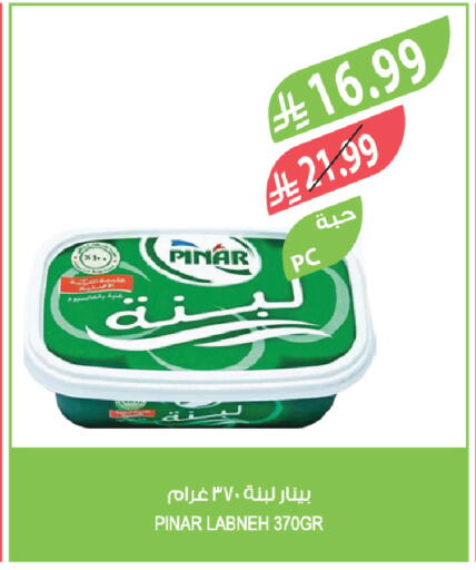 available at المزرعة in مملكة العربية السعودية, السعودية, سعودية - ينبع