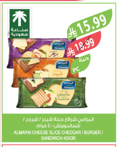 available at المزرعة in مملكة العربية السعودية, السعودية, سعودية - تبوك