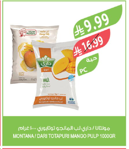 Mango available at Farm  in KSA, Saudi Arabia, Saudi - Tabuk