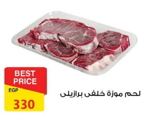 available at فتح الله in Egypt - القاهرة