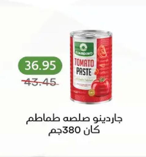 Tomato available at بيك مارت in Egypt - القاهرة