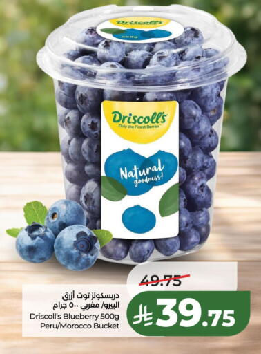 Blueberry BlueBerry from Morocco available at LULU Hypermarket in KSA, Saudi Arabia, Saudi - Dammam