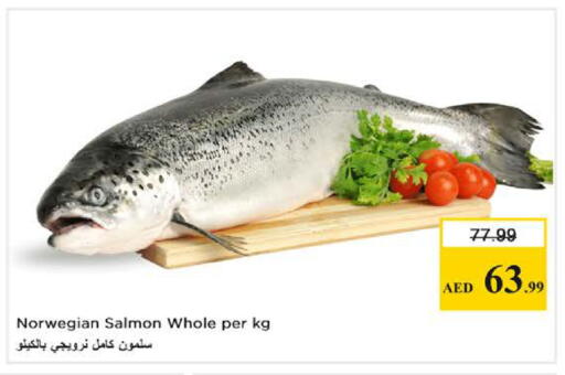 available at نستو هايبرماركت in الإمارات العربية المتحدة , الامارات - دبي