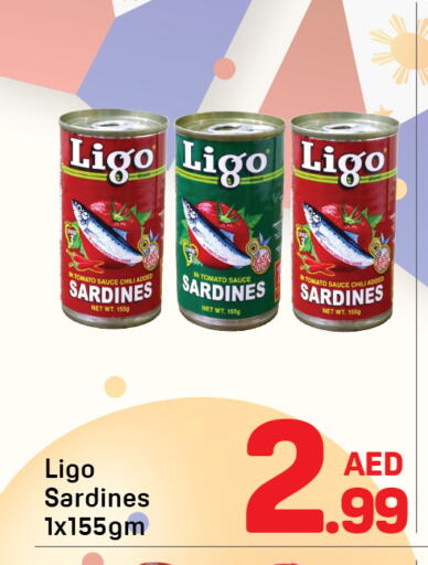 Tomato available at Day to Day Department Store in UAE - Dubai