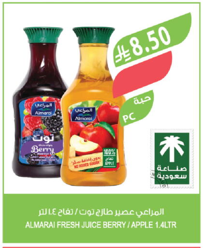 Sugar Apple Apple available at Farm  in KSA, Saudi Arabia, Saudi - Tabuk