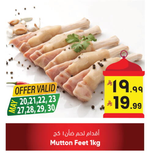 available at ستي فلاور in مملكة العربية السعودية, السعودية, سعودية - الجبيل‎