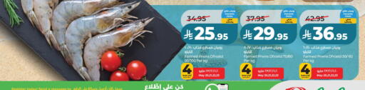 available at لولو هايبرماركت in مملكة العربية السعودية, السعودية, سعودية - حفر الباطن