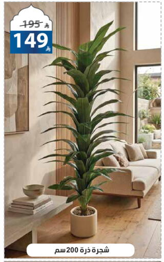 available at الهدايا سنتر in مملكة العربية السعودية, السعودية, سعودية - مكة المكرمة