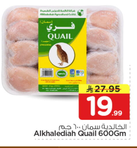 available at Nesto in KSA, Saudi Arabia, Saudi - Al-Kharj
