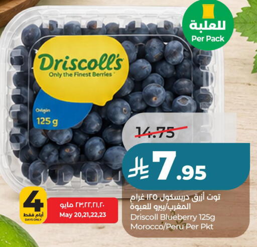 Blueberry BlueBerry from Morocco available at LULU Hypermarket in KSA, Saudi Arabia, Saudi - Dammam