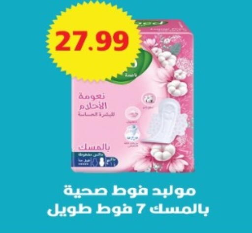 available at يورومارشيه in Egypt - القاهرة