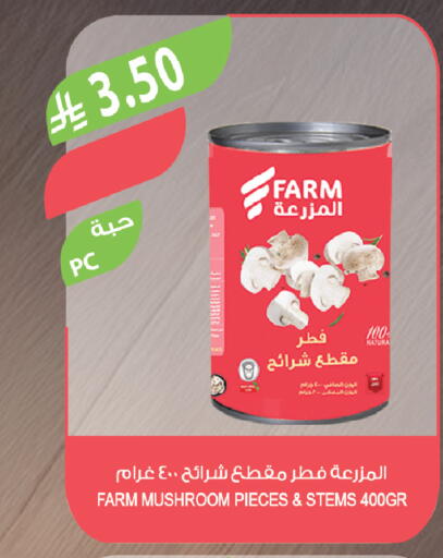 Mushroom available at Farm  in KSA, Saudi Arabia, Saudi - Al-Kharj