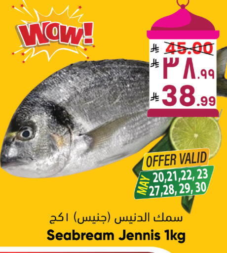 available at ستي فلاور in مملكة العربية السعودية, السعودية, سعودية - نجران