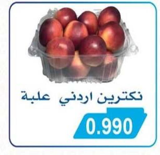available at جمعية سلوى التعاونية in الكويت - مدينة الكويت