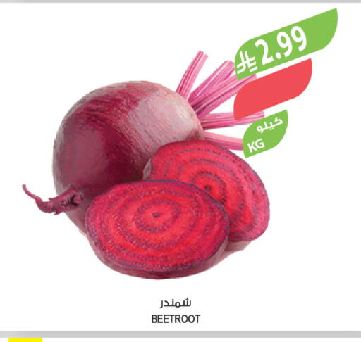 Beetroot available at المزرعة in مملكة العربية السعودية, السعودية, سعودية - سيهات