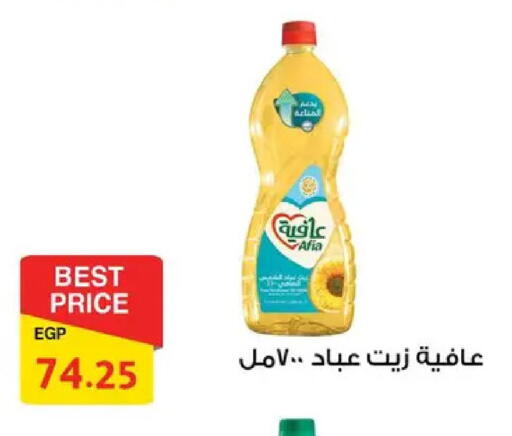 available at فتح الله in Egypt - القاهرة