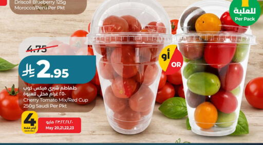 Blueberry BlueBerry Cherry Cherry tomato from Morocco Saudi Arabia available at LULU Hypermarket in KSA, Saudi Arabia, Saudi - Dammam