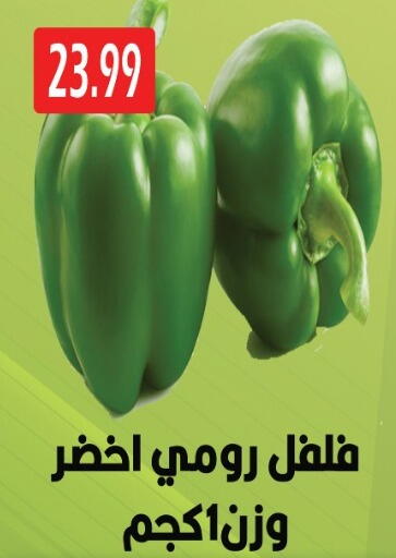 available at يورومارشيه in Egypt - القاهرة