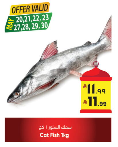 available at City Flower in KSA, Saudi Arabia, Saudi - Sakaka