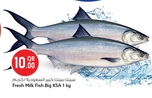 available at سفاري هايبر ماركت in قطر - الشحانية