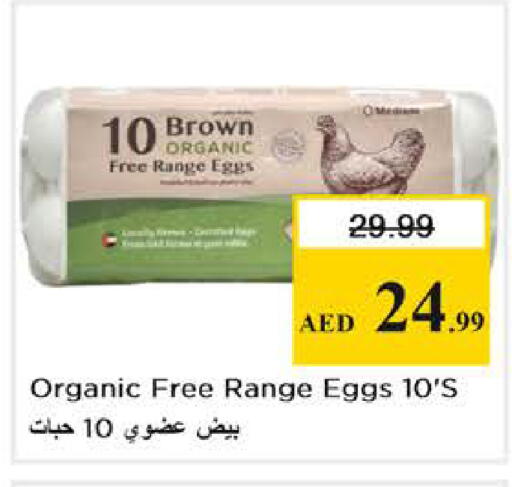 available at نستو هايبرماركت in الإمارات العربية المتحدة , الامارات - دبي