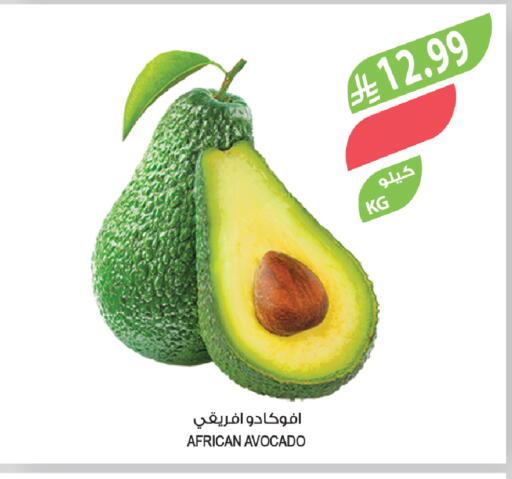 Avocado available at المزرعة in مملكة العربية السعودية, السعودية, سعودية - سيهات