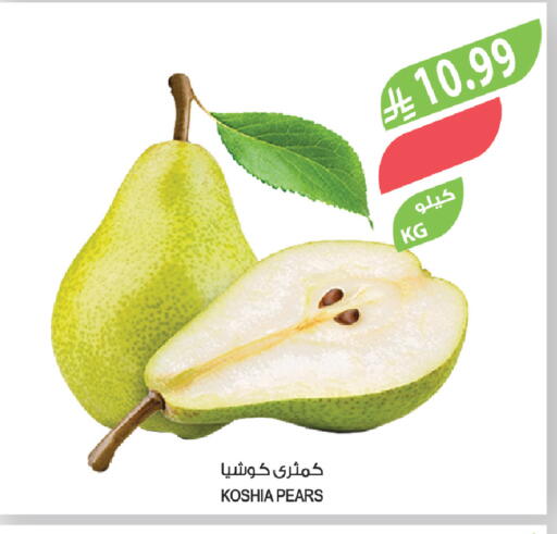 available at المزرعة in مملكة العربية السعودية, السعودية, سعودية - سيهات
