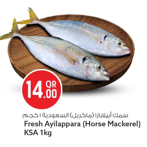 available at سفاري هايبر ماركت in قطر - الشحانية