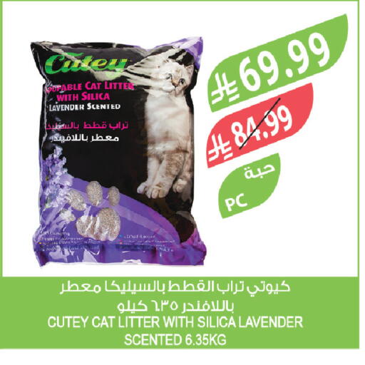 available at المزرعة in مملكة العربية السعودية, السعودية, سعودية - سيهات